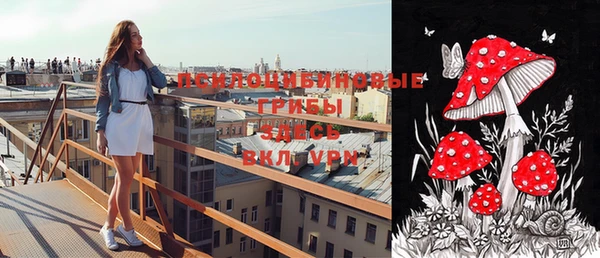 прущая мука Дмитриев