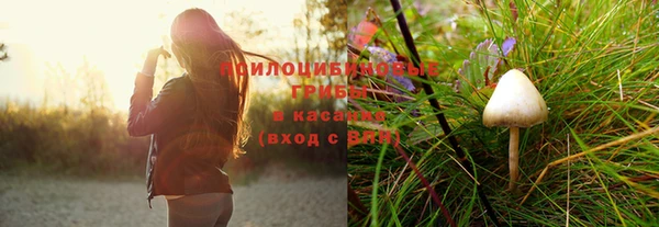 стаф Гусиноозёрск