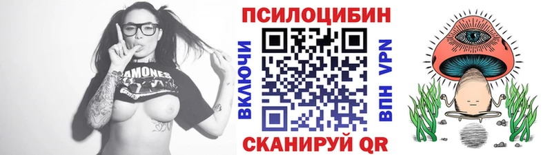 omg маркетплейс  Ершов  Псилоцибиновые грибы Psilocybine cubensis  закладки 